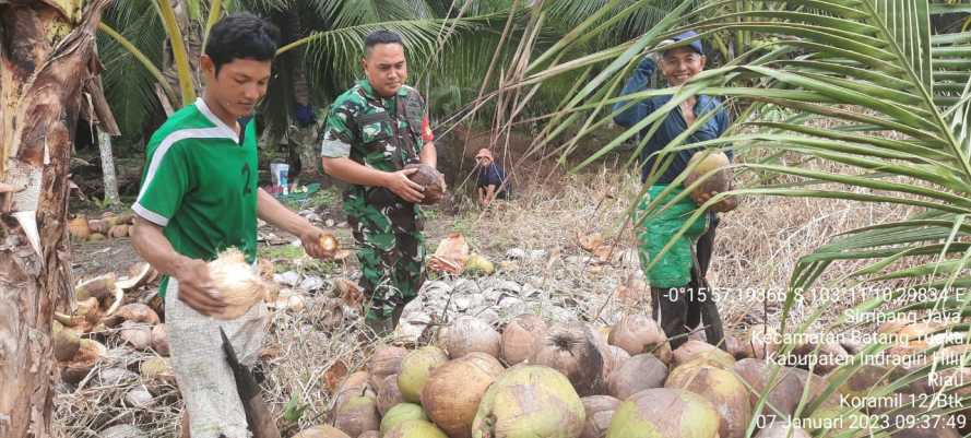 Babinsa Simpang Jaya Perhatikan Petaninya