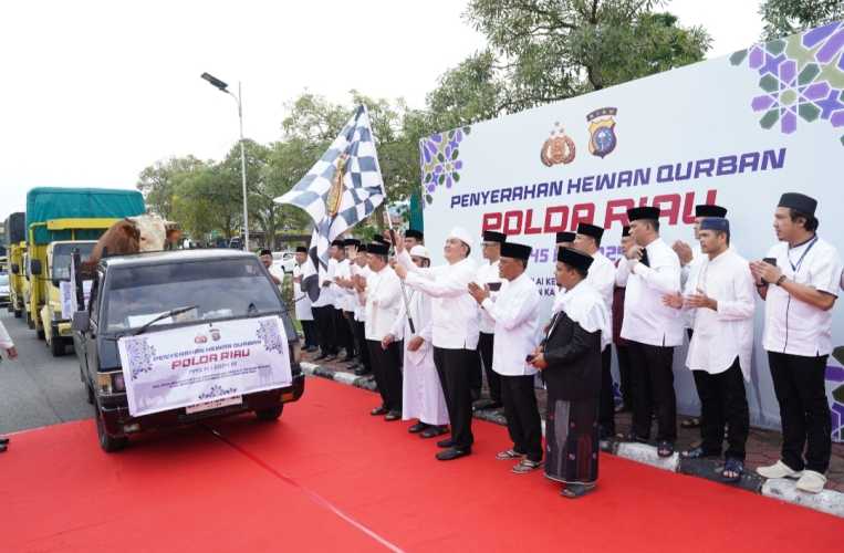 Idul Adha Tahun Ini, Polda Riau Berkurban 32 Ekor Sapi Limosin dan 20 Ekor Kambing