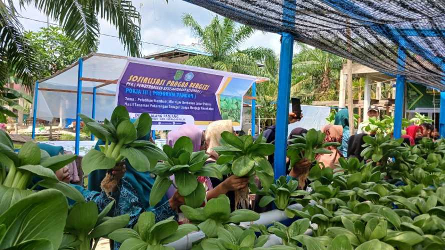 Pelatihan Mie Hijau Berbahan Lokal Pakcoy, Upaya PKK Desa Sialang Panjang untuk Menjaga Kesehatan