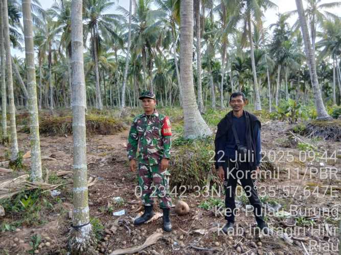 Babinsa Koramil 11/Pulau Burung Patroli Cegah Karhutla untuk Lindungi Ekosistem