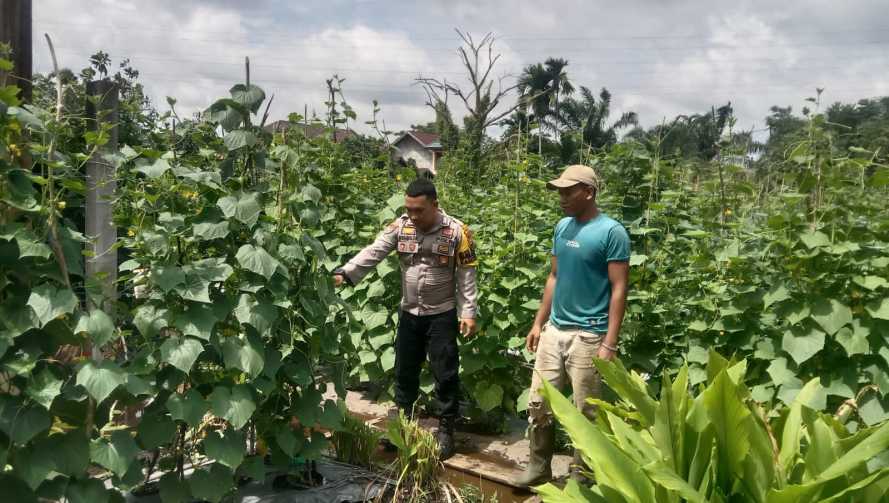 Dukung Ketahanan Pangan Nasional, Bripka Polmar Patroli dan Sambangi Lahan Pertanian Warga