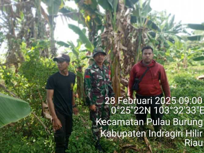 Patroli Karhutla di Wilayah Koramil 11/PBR Berjalan Lancar, Tidak Ditemukan Titik Api dan Asap