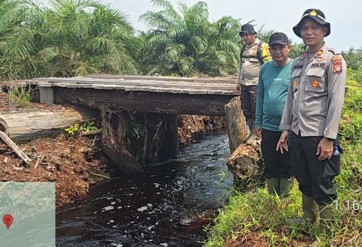 Pasukan Jenderal Temukan Dugaan Pembalak Liar Dekat Cagar Biosfer Bengkalis, Kapolres: Kosong