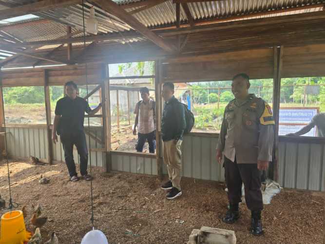 Bhabinkamtibmas Polsek Pelangiran Laksanakan Optimalisasi Potensi Daging Lokal dalam Pemenuhan Protein Hewani