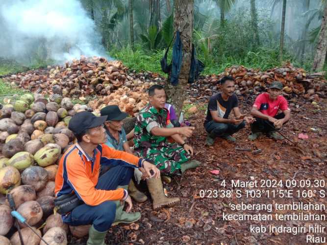 Babinsa Seberang Tembilahan Selatan Sertu M.Yasin Beri Semangat Petani Kelapa