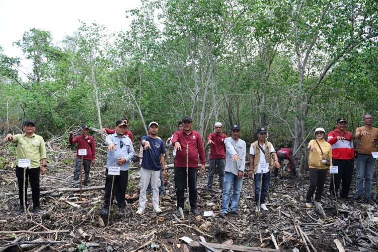 Penanaman Mangrove Perkuat Kolaborasi Masyarakat Pesisir pada Hari Mangrove Sedunia 2026