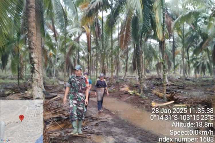 Dengan Patroli Rutin, Sertu Januar Mencegah Terjadinya Kerusakan Hutan dan Lahan