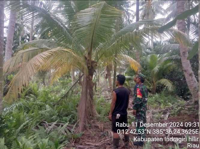 Karhutla di Wilayah Koramil 11/Pulau Burung, TNI dan Masyarakat Bersinergi