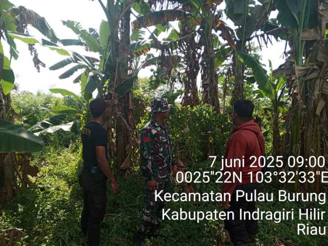 Babinsa Koramil 11/PBR Lakukan Patroli Cegah Karhutla di Desa Manunggal Jaya