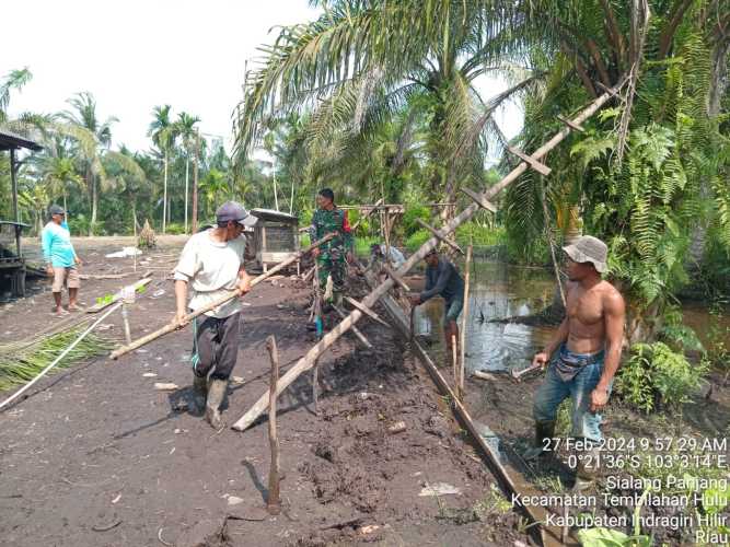 Cegah Banjir, Sertu Sutrisno Goro Bersihkan Parit Secara Swadaya