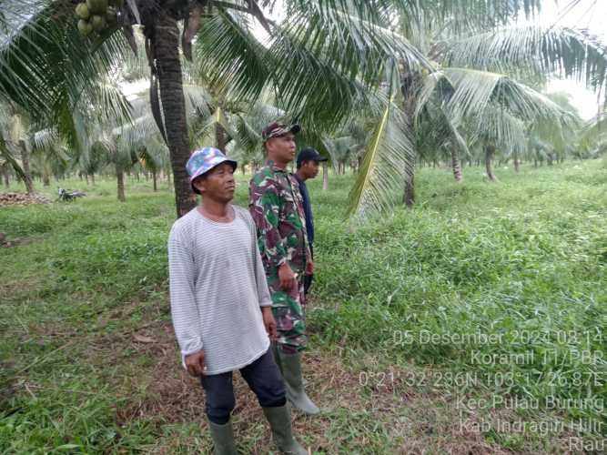 Babinsa Pulau Burung Cek Kondisi Cluster Karlahut di Wilayah Binaan