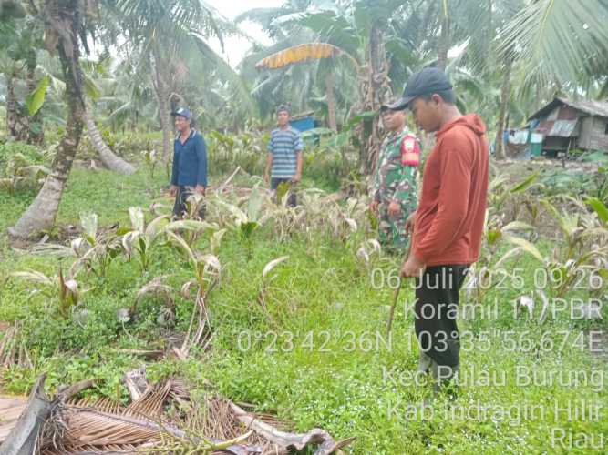 Babinsa Koramil 11/Pulau Burung menjaga lahan perkebunan warga dari Karhutla: