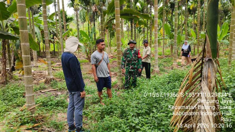 Babinsa Simpang Jaya Laksanakan Sosialisasi dan Patroli Karhutla Terpadu