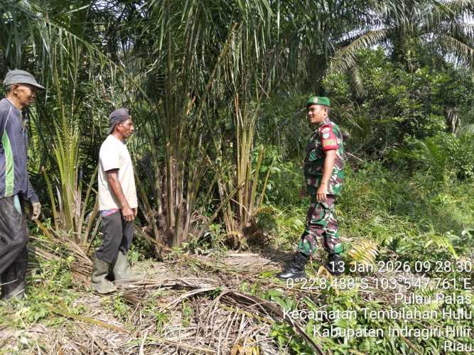 Babinsa Pulau Palas gelar patroli dialogis cegah Karhutla