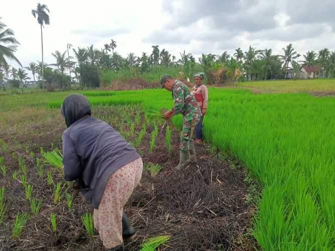 Serka Hepi Martison Teruslan Program Ketahanan Pangan