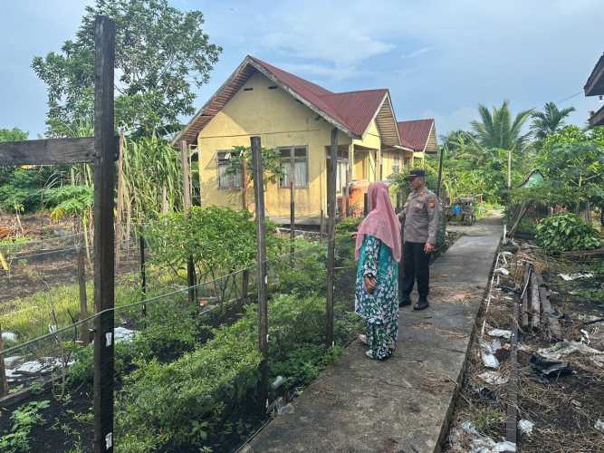 Kapolsek Pulau Burung Meninjau Masa Pertumbuhan Cabai Petani