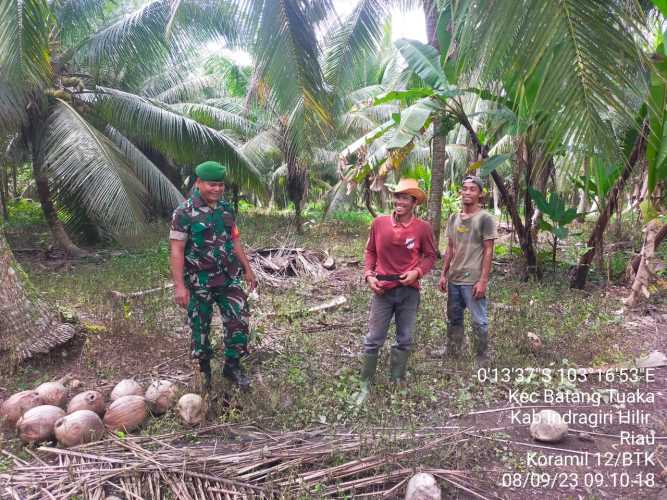 Sertu Syamsir Dalami Patroli Karhutlah