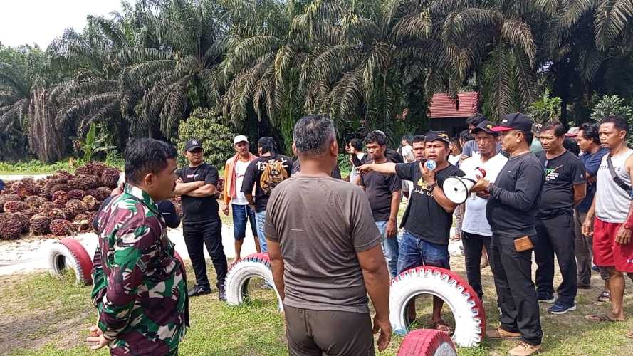 Swiping Warga Buka Fakta Mengejutkan, Ada Panen di Kebun yang Dinyatakan Disita Negara