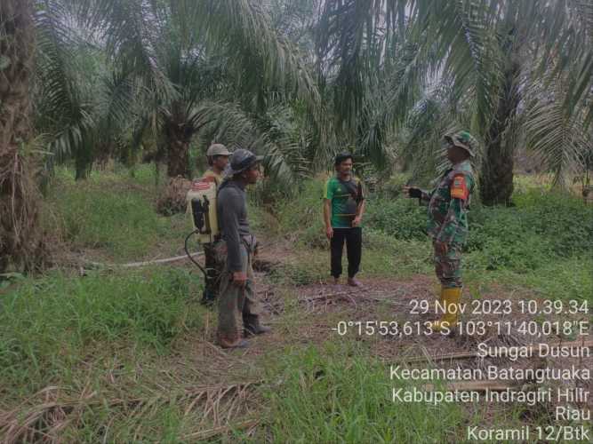 Babinsa Himbau Warganya Bijak dalam Mengelola Lahan