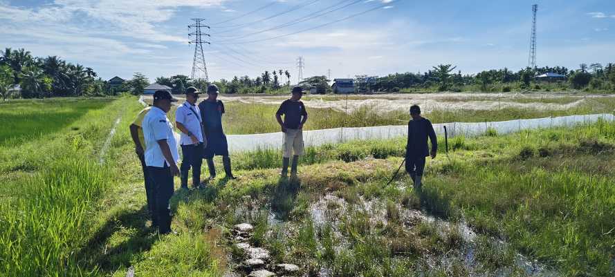 Dari Persemaian hingga Panen, Kabid TPH Distan Inhil Pastikan Standar Teknis Masa Tanam 2026 Berjalan Optimal