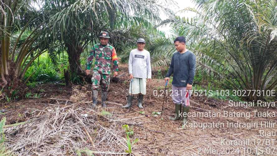 Babinsa Sungai Luar Awasi  Pembukaan Lahan Warganya