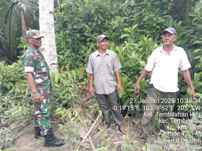 Babinsa Koramil 01/Tbh Lakukan Pemantauan Kondisi Lahan dan Hutan