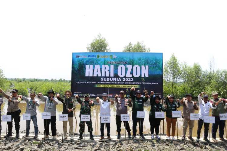 Lestarikan Mangrove, PNM, BDPN dan Unisi Tanam 4.000 Pohon.