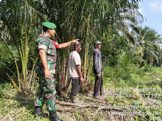 Babinsa Pulau Palas Gencarkan Patroli Pencegahan Karhutla di Tembilahan Hulu