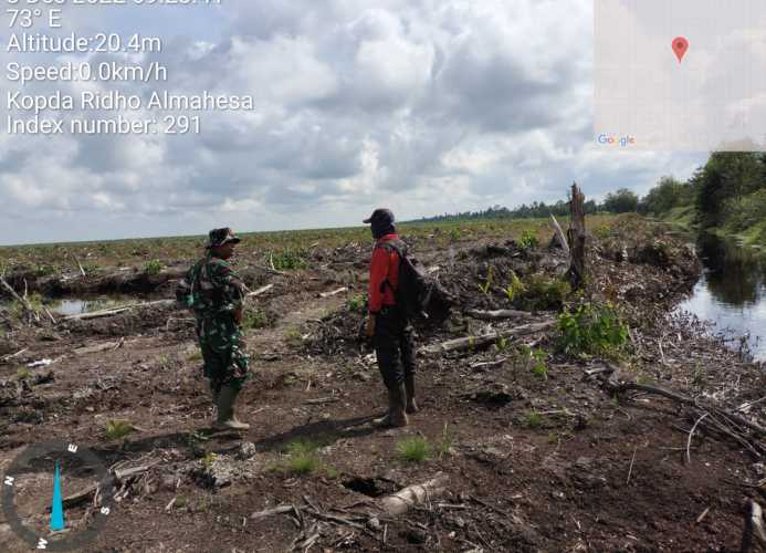 Babinsa Lakukan Patroli di Lahan Replanting