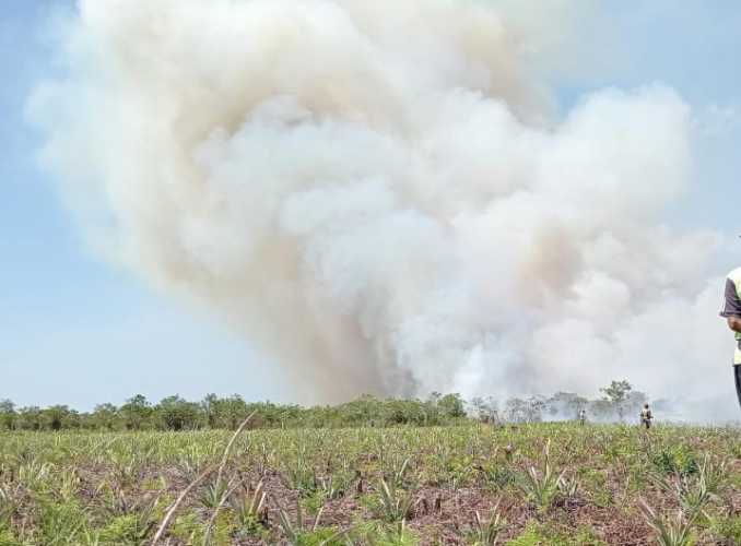 Siaga Penuh! Pekanbaru Perkuat Kolaborasi Tangani Karhutla