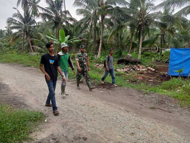 Babinsa Bersama Relawan Lakukan Pemantauan Kebun