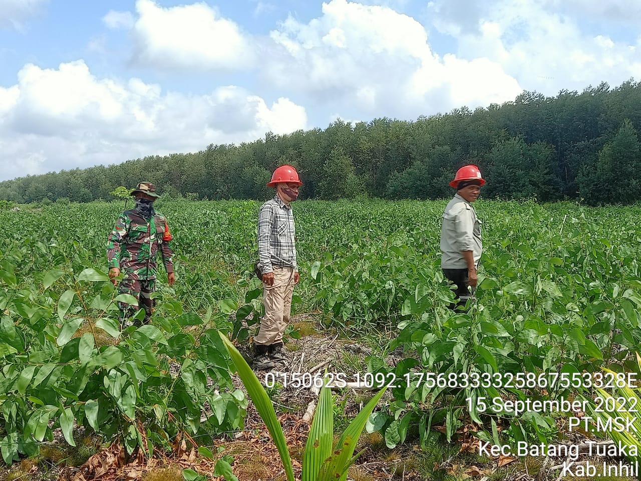 Kopda Sihabuddin Babinsa Koramil 12/Batang Tuaka Lakukan Tupoksi Cegah Karhutlah