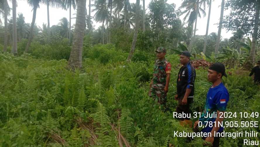 Babinsa Pulau Burung Siap Siaga waspada Karhutlah