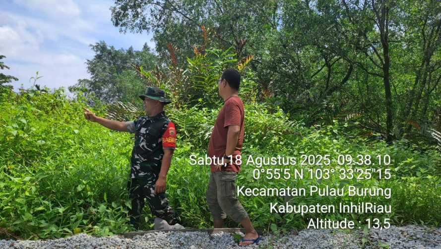 Babinsa Koramil 11/Pulau Burung Gencar Cegah Karhutlah di Wilayah Teluk Nibung