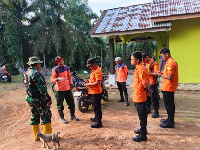 Kakek 83 Tahun Hilang di Kebun Sawit Rohul, Basarnas Pekanbaru Terjunkan Tim Penyelamat