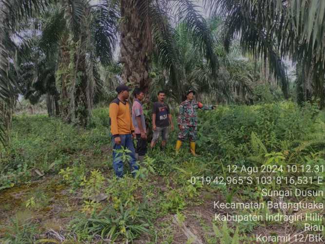 Babinsa Koramil 12/Batang Tuaka Lakukan  Pencegahan Karhutlah Terpadu