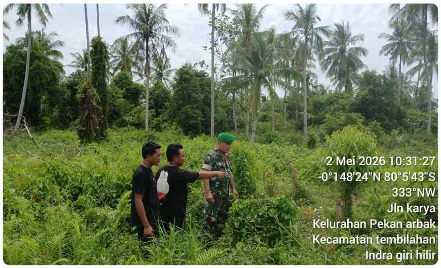 Cegah Sengketa Lahan, Babinsa Serka Surung Simbolon Tinjau Langsung Kondisi Fisik Tapal Batas di Kelurahan Pekanarba