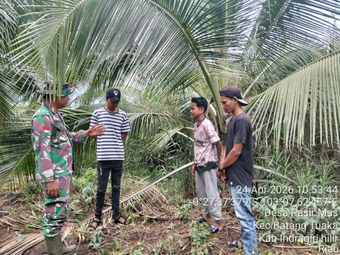 Babinsa Turun Langsung ke Lahan, Patroli Karhutla di Pasir Mas Antisipasi Ancaman El Nino bagi Pekebun