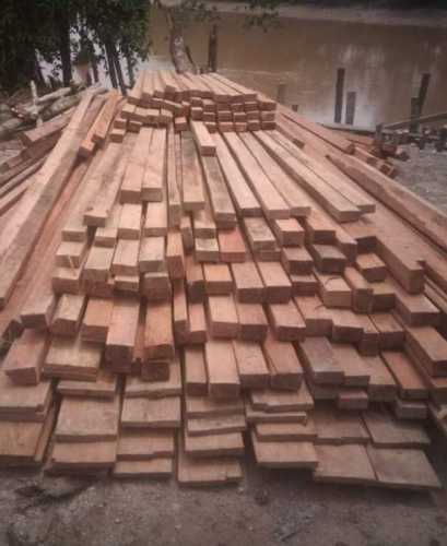 Kegiatan Pembalakan Liar Di Gaung Inhil Dilaporkan LSM Granko Ke Polda Riau