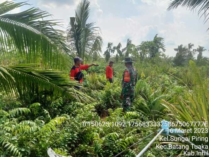 Koptu Sihabuddin Rintis Areal Rawan Karhutlah