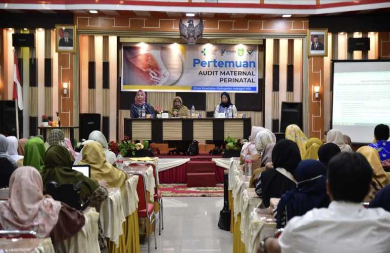 Dinkes Inhil Gelar Pertemuan Audit Maternal Perinatal