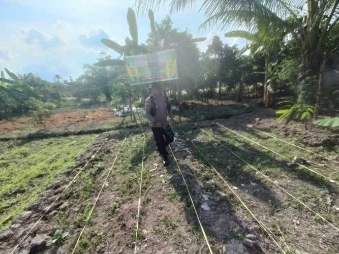 Bhabinkamtibmas Pekan Arba Cek Perawatan dan Perkembangan Tanaman Jagung