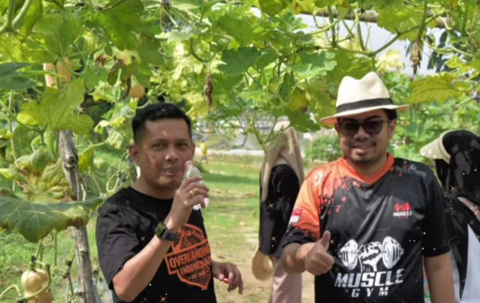 Lewat Panen Sayuran Bersama Warga Setempat, Pimpinan DPRD Pekanbaru Akan Terus Mendorong Perkembangan Agribisnis Tersebut