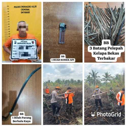 Polres Inhil Tangkap Pelaku Pembakaran Lahan Gambut Seluas 6,5 Hektare di Perbatasan Tembilahan Hulu dan Enok