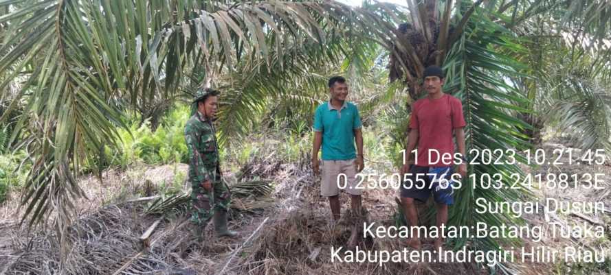 Serda Fero Tanggapi Atensi Pengaduan Karhutlah  di Desa Pasir Mas