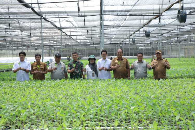 Bupati Asahan Dampingi Plt Dirjen Perkebunan Kementan RI Tinjau Lokasi Cetak Sawah di Desa Silo Bonto
