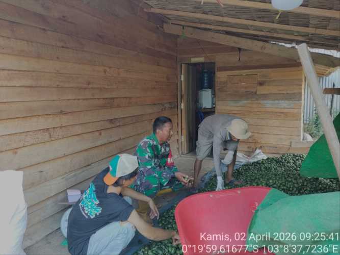 Babinsa Sungai Dusun Lakukan Pembinaan kepada Petani Pinang