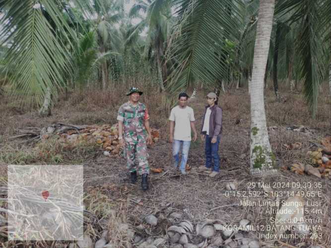 Serda Pernando Tinjau Letak Geografis Lahan Rawan Karhutlah