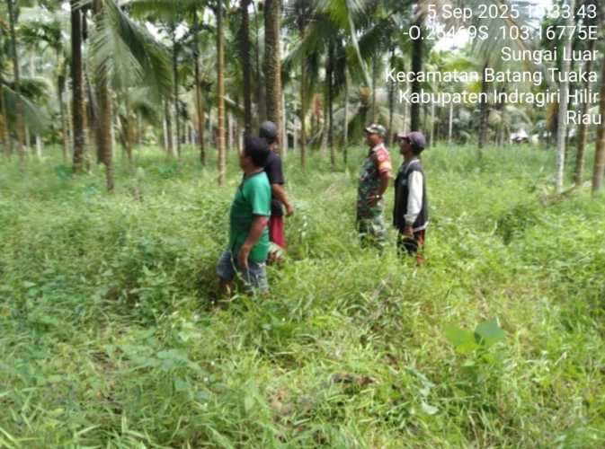 Babinsa Koramil 12/Batang Tuaka Bersama Warga Lakukan Pemantauan Karhutlah