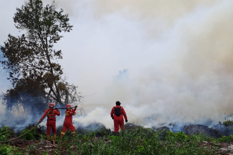Pejuang Karhutla Muharmizan Wafat dalam Tugas, Plt Gubri: Beliau Pahlawan Lingkungan